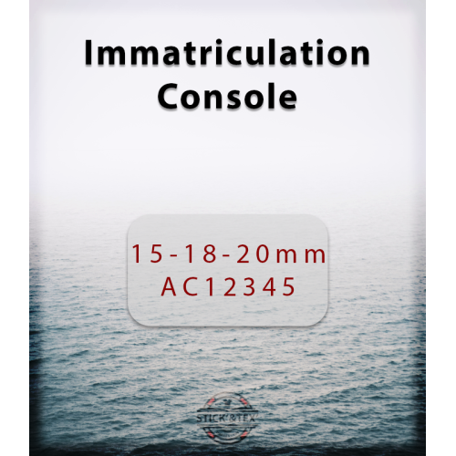 Stick and Tex - Immatriculation Console - Saint-Cast-Le-Guildo