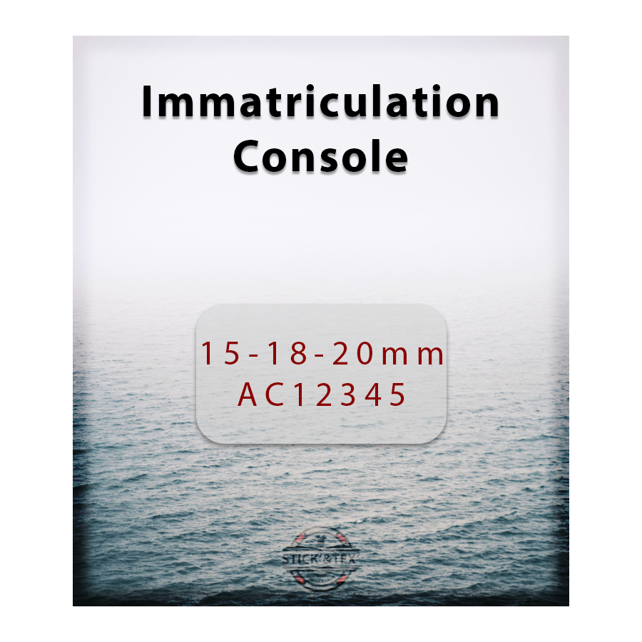 Stick and Tex - Immatriculation Console - Saint-Cast-Le-Guildo