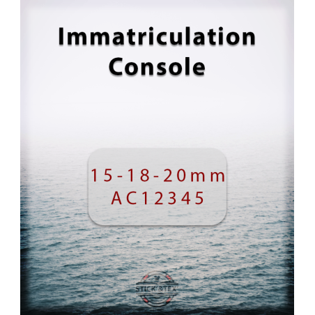 Stick and Tex - Immatriculation Console - Saint-Cast-Le-Guildo
