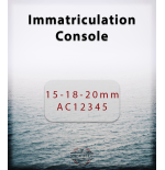 Stick and Tex - Immatriculation Console - Saint-Cast-Le-Guildo
